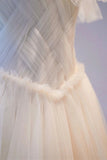 Champange Tulle Long Prom Dress, A-Line Evening Dress HZ0429