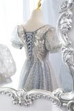 Gray Tulle Lace Long Party Dress, A-Line Evening Dress HZ0429