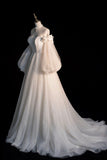Champagne Tulle Long Sleeve Prom Dress, Off the Shoulder Evening Dress HZ0429