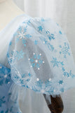 Sky Blue Tulle Long Prom Dress, Beautiful A-Line Evening Party Dress HZ0429