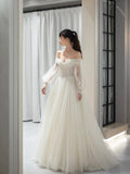 Champagne Tulle Floor Length Prom Dress, Beautiful A-Line Long Sleeve Evening Party Dress HZ0429
